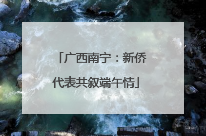 广西南宁：新侨代表共叙端午情