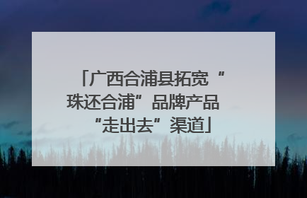 广西合浦县拓宽“珠还合浦”品牌产品“走出去”渠道