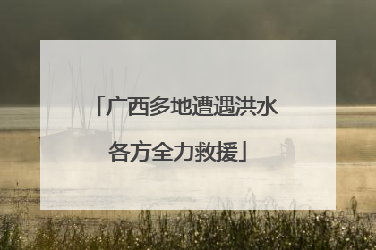 广西多地遭遇洪水 各方全力救援