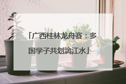 广西桂林龙舟赛：多国学子共划漓江水