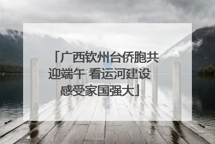 广西钦州台侨胞共迎端午 看运河建设感受家国强大