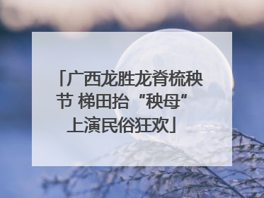 广西龙胜龙脊梳秧节 梯田抬“秧母”上演民俗狂欢