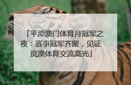 平潭澳门体育月冠军之夜：赛事冠军齐聚，见证岚澳体育交流高光