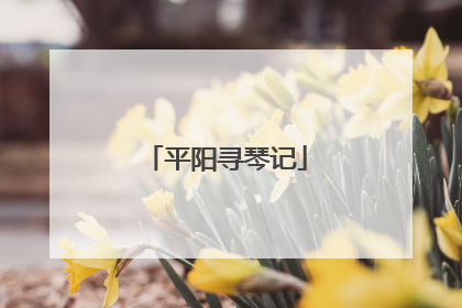 平阳寻琴记