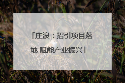 庄浪：招引项目落地 赋能产业振兴