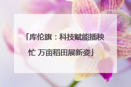 库伦旗：科技赋能插秧忙 万亩稻田展新姿