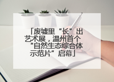 废墟里“长”出艺术展，温州首个“自然生态综合体示范片”启幕