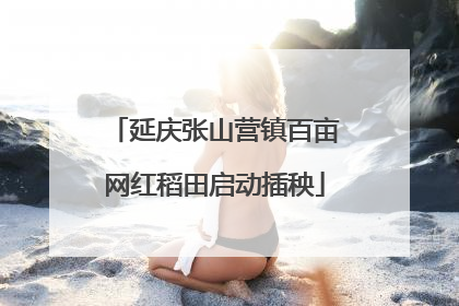 延庆张山营镇百亩网红稻田启动插秧