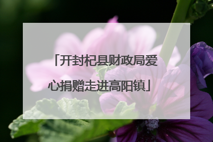开封杞县财政局爱心捐赠走进高阳镇