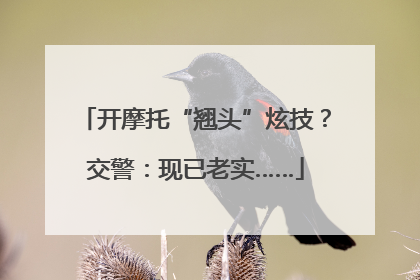 开摩托“翘头”炫技？交警：现已老实……