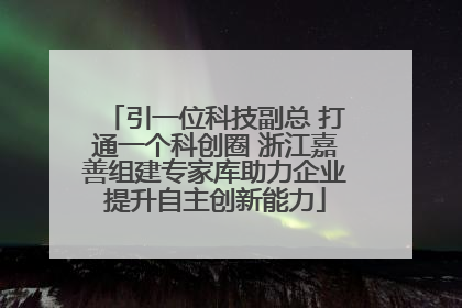 引一位科技副总 打通一个科创圈 浙江嘉善组建专家库助力企业提升自主创新能力
