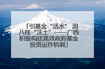 引基金“活水” 润八桂“沃土”——广西积极构建高效政府基金投资运作机制
