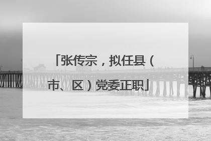 张传宗，拟任县（市、区）党委正职