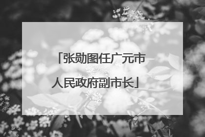 张勋图任广元市人民政府副市长