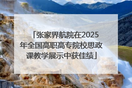 张家界航院在2025年全国高职高专院校思政课教学展示中获佳绩