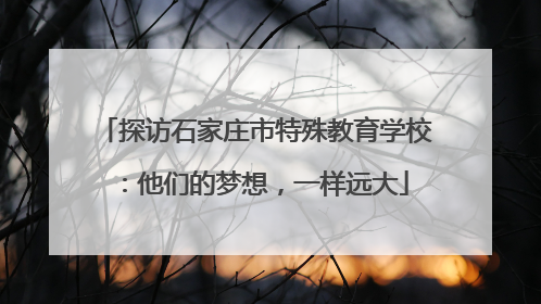探访石家庄市特殊教育学校：他们的梦想，一样远大