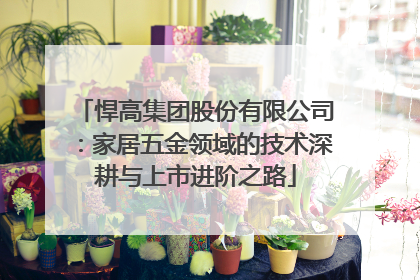 悍高集团股份有限公司：家居五金领域的技术深耕与上市进阶之路