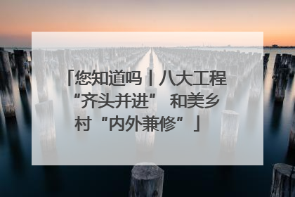 您知道吗丨八大工程“齐头并进” 和美乡村“内外兼修”