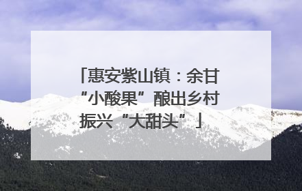 惠安紫山镇：余甘“小酸果”酿出乡村振兴“大甜头”