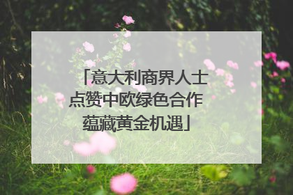意大利商界人士点赞中欧绿色合作蕴藏黄金机遇