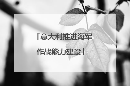意大利推进海军作战能力建设