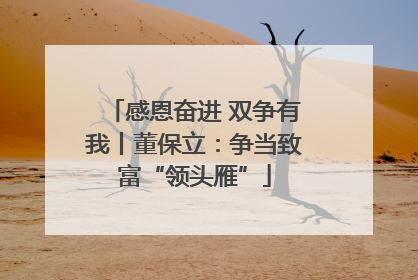 感恩奋进 双争有我丨董保立：争当致富“领头雁”