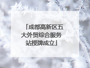 成都高新区五大外贸综合服务站授牌成立