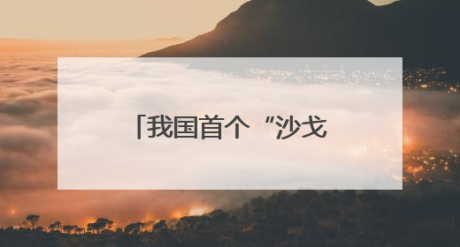 我国首个“沙戈荒”光伏“练兵场”长啥样？总台记者探访→