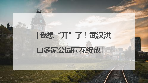 我想“开”了！武汉洪山多家公园荷花绽放