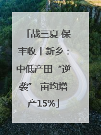 战三夏 保丰收丨新乡：中低产田“逆袭” 亩均增产15%