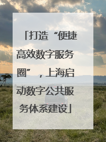 打造“便捷高效数字服务圈”，上海启动数字公共服务体系建设