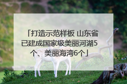 打造示范样板 山东省已建成国家级美丽河湖5个、美丽海湾6个