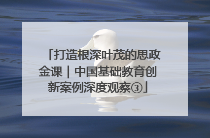 打造根深叶茂的思政金课｜中国基础教育创新案例深度观察③