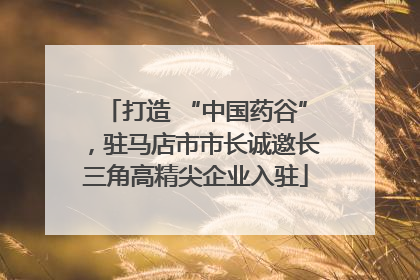 打造 “中国药谷”，驻马店市市长诚邀长三角高精尖企业入驻