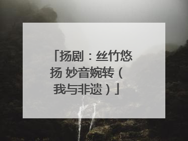 扬剧：丝竹悠扬 妙音婉转（我与非遗）