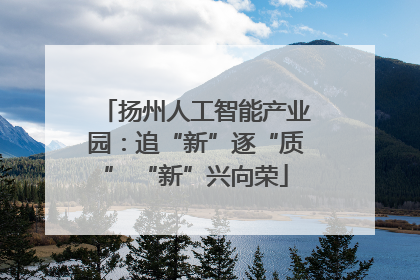 扬州人工智能产业园：追“新”逐“质” “新”兴向荣