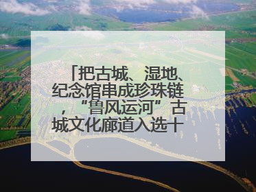 把古城、湿地、纪念馆串成珍珠链，“鲁风运河”古城文化廊道入选十大最美农村路