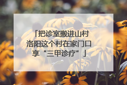 把诊室搬进山村 洛阳这个村在家门口享“三甲诊疗”