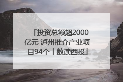投资总额超2000亿元 泸州推介产业项目94个丨数读西投
