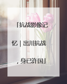 抗战影像记忆｜出川抗战，身已许国