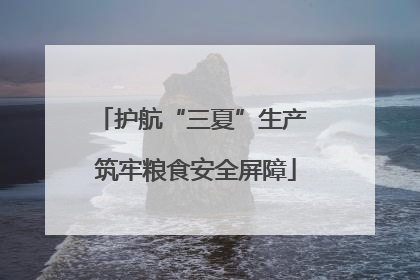 护航“三夏”生产 筑牢粮食安全屏障