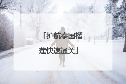 护航泰国榴莲快速通关