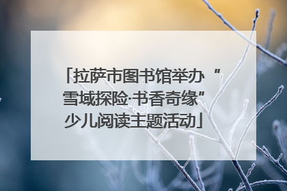 拉萨市图书馆举办“雪域探险·书香奇缘”少儿阅读主题活动