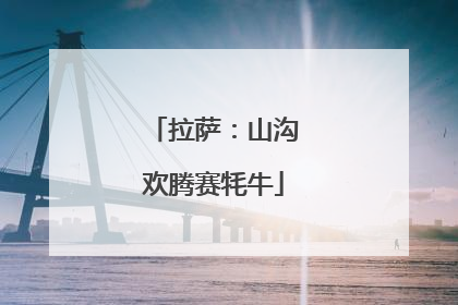 拉萨：山沟欢腾赛牦牛