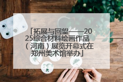 拓展与回望——2025综合材料绘画作品（河南）展览开幕式在郑州美术馆举办