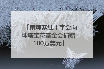 柬埔寨红十字会向坤塔宝花基金会捐赠100万美元