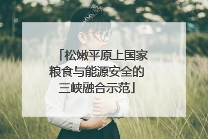 松嫩平原上国家粮食与能源安全的三峡融合示范
