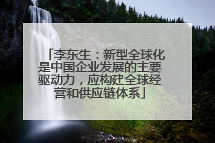 李东生：新型全球化是中国企业发展的主要驱动力，应构建全球经营和供应链体系