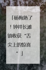 杨梅熟了！钟祥长滩镇收获“舌尖上的惊喜”