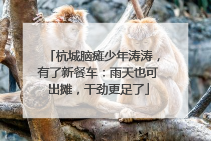 杭城脑瘫少年涛涛，有了新餐车：雨天也可出摊，干劲更足了